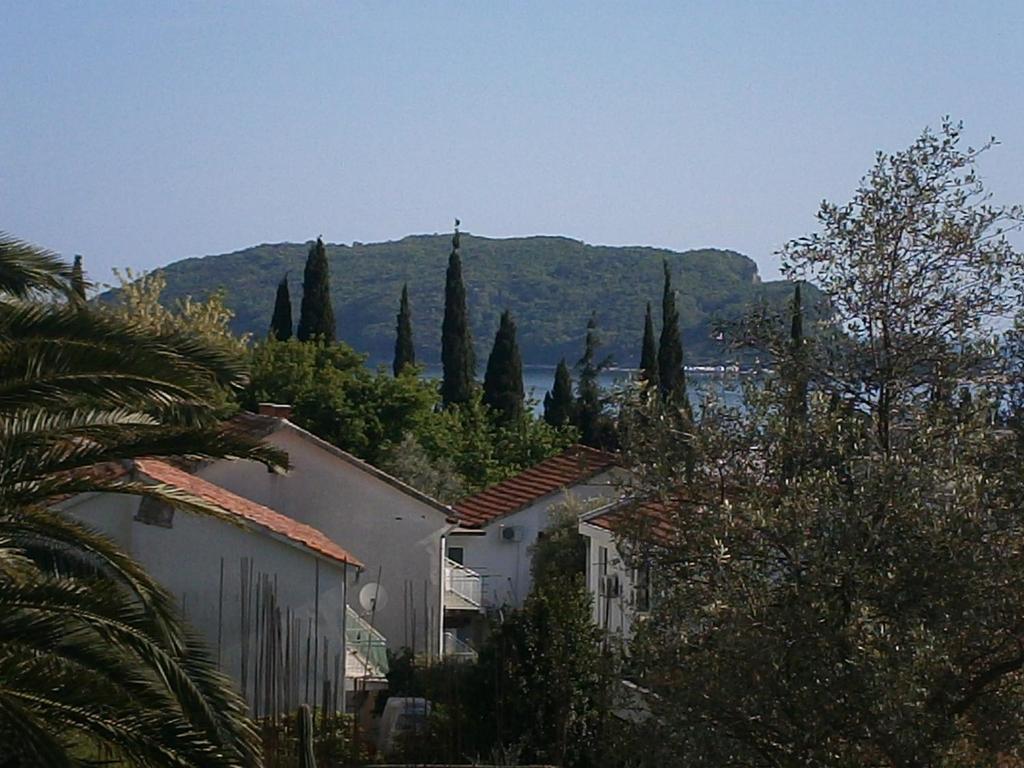 Mijovic Apartments Budva Rom bilde